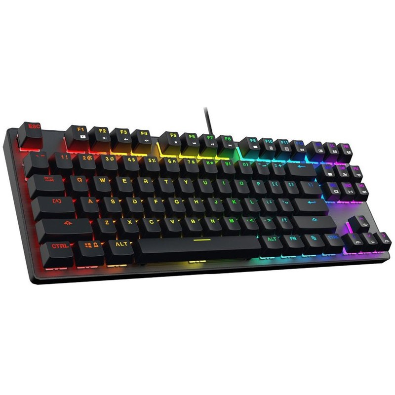 کیبورد مخصوص بازی مکانیکی رپو مدل  V500 RGB