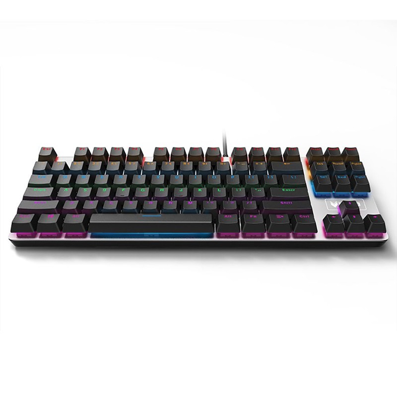 کیبورد مخصوص بازی مکانیکی رپو مدل  V500 RGB