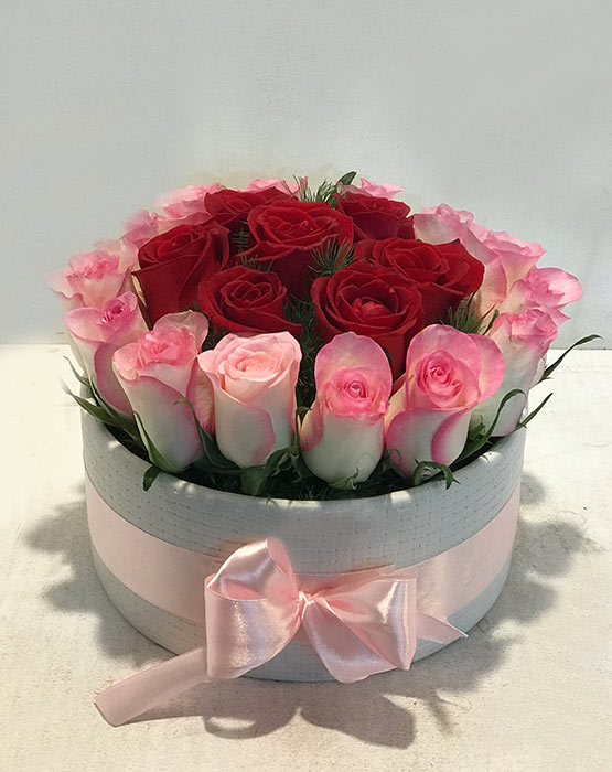 باکس گل گردرزهلندی طرح مزداکد 987