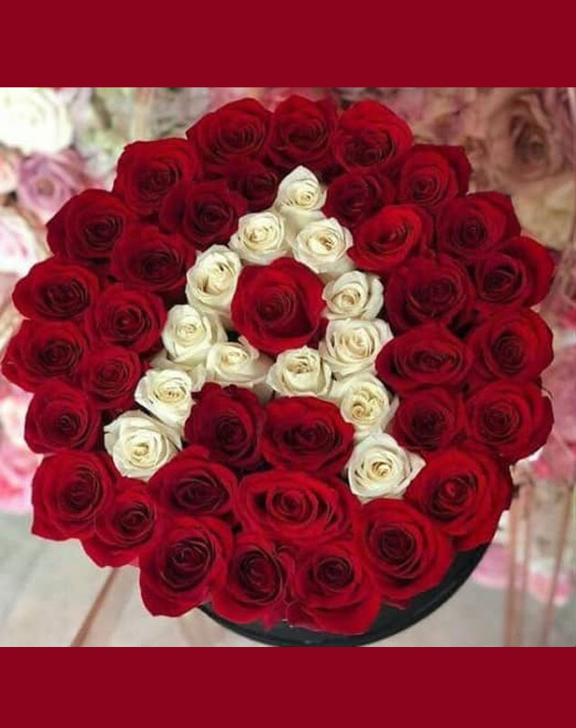 باکس گل گرد حروف کد 448