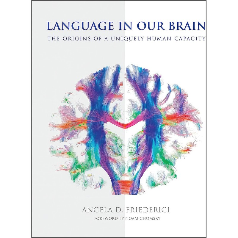 کتاب Language in Our Brain اثر جمعی از نویسندگان انتشارات The MIT Press