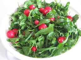 سبزی خوردن ارگانیک