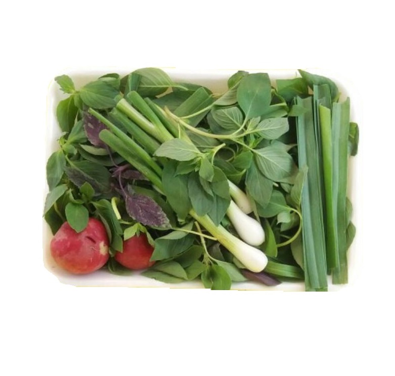 سبزی خوردن ارگانیک
