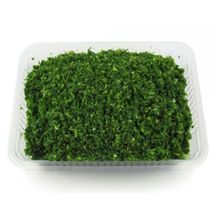 سبزی شکم پر خرد شده ارگانیک