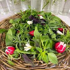 سبزی خوردن ارگانیک