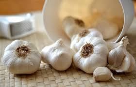 سیر خشک ارگانیک