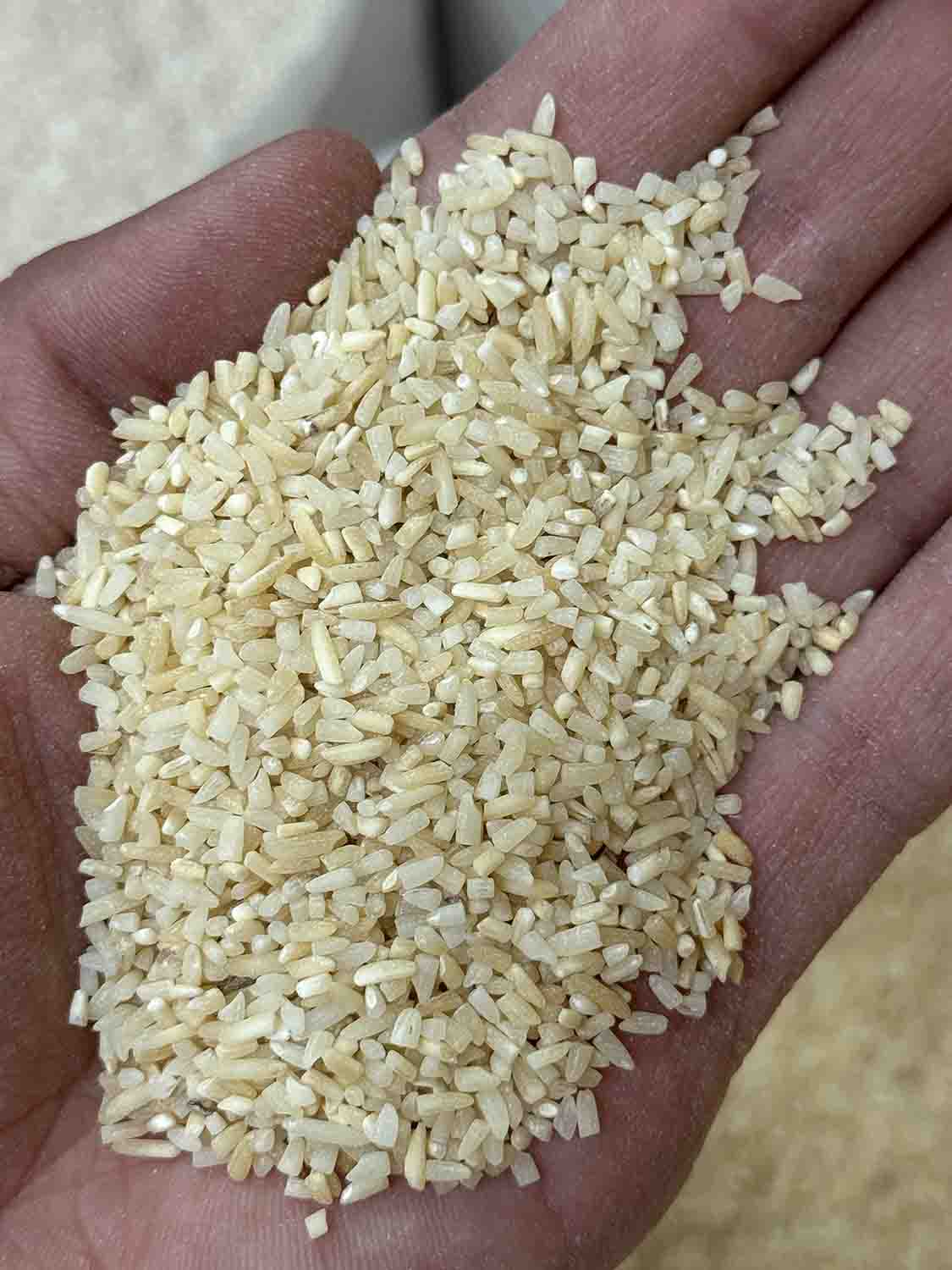 برنج نیم دانه هاشمی دودی 10k