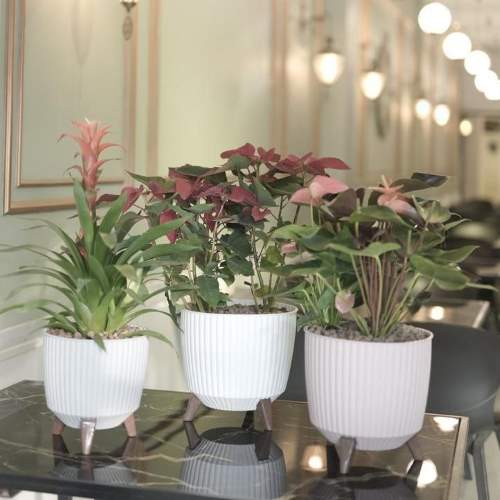 گلدان کنگرهای پایه دار (3سایز)