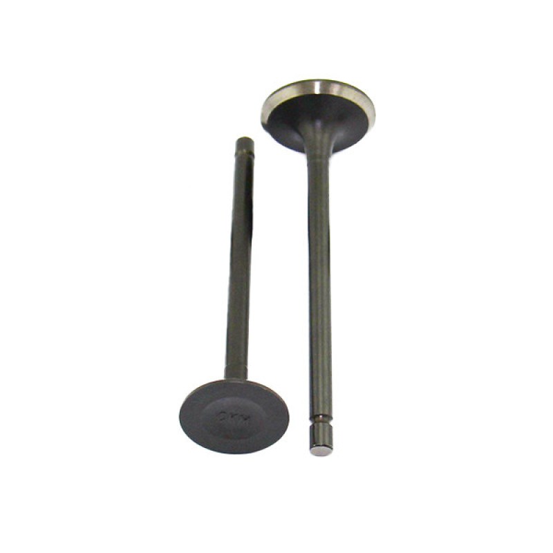 سوپاپ موتور سیکلت مدل RP125 بسته 2 عددی