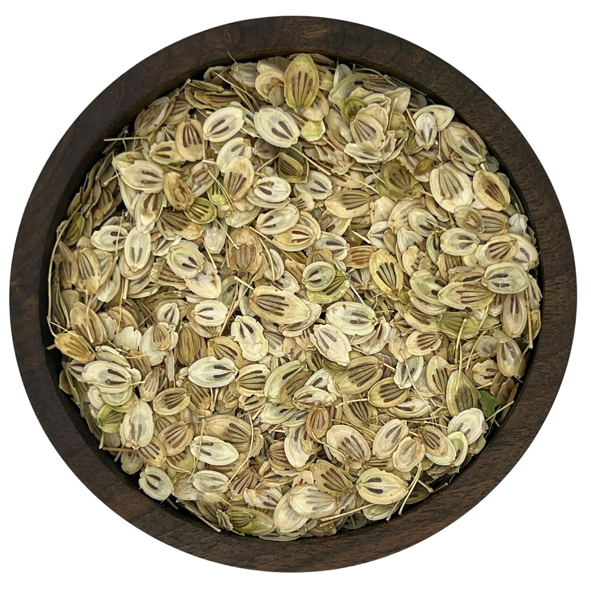 گلپر درشت