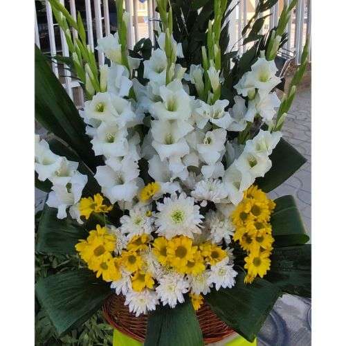 قیمت سبد گل رومیزی e181