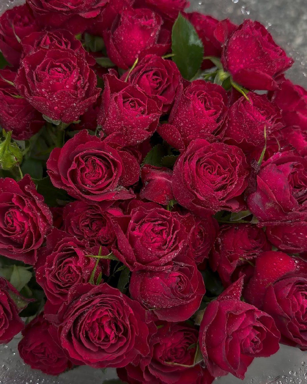 اول موجودی بگیرید لطفا🌸