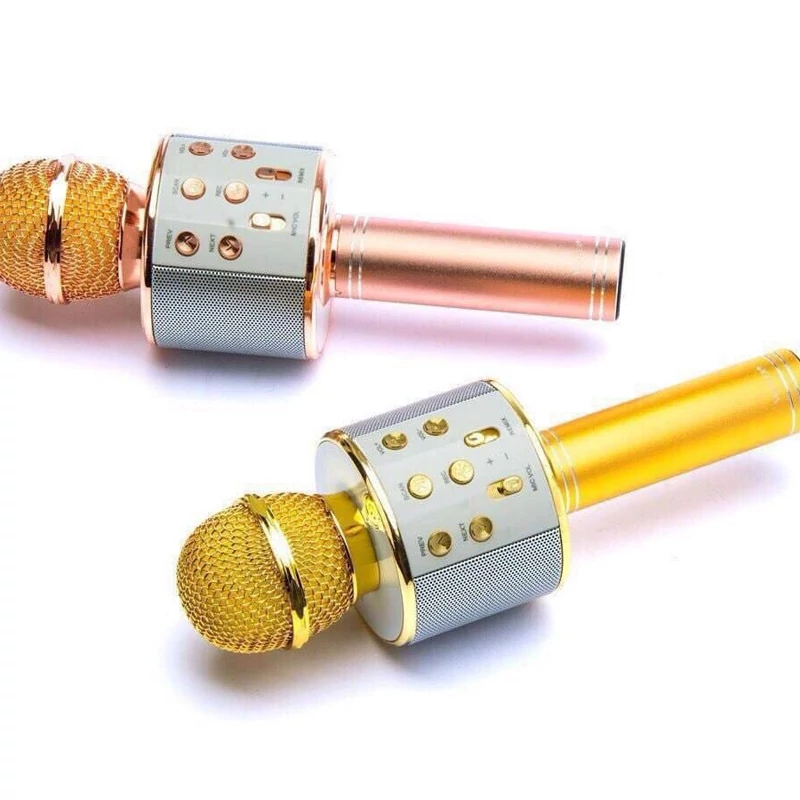 بلندگو اسپیکر دار شارژر دار تغییر صدا اسباب بازی میکروفن بلوتوثی