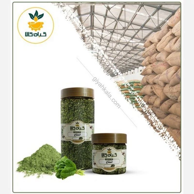 گیاه اسفناج پودر شده، بار امسالی و تازه(500گرمی )