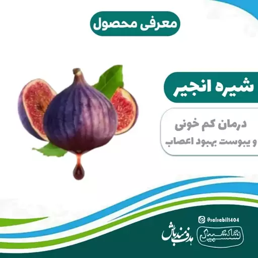 شیره انجیر اعلاء دجه 1 سلسبیل 