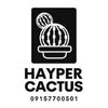 Hayper cactus