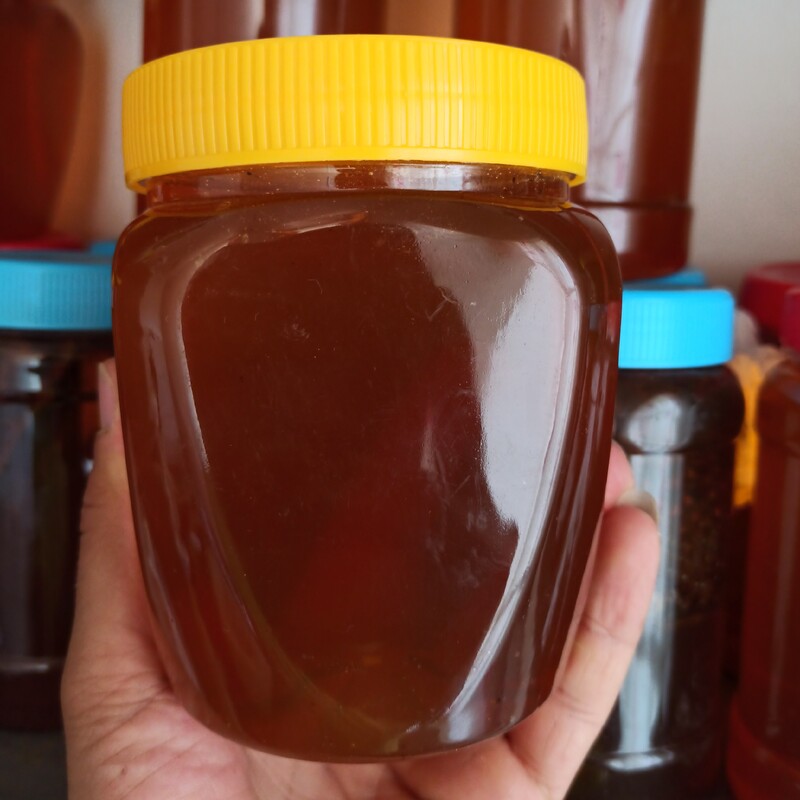 عسل طبیعی کوهستان با مصرف درمانی (یک کیلویی)