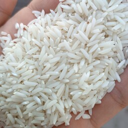 برنج هاشمی اعلا  محصول تازه 1402مستقیم از کارخانه بسته بندی 10 کیلویی 