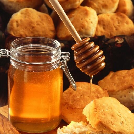 عسل طبیعی جنگلی با طعم و بو واقعی جنگلی عسل صد درصد طبیعی راباماتجرکنید