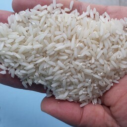 برنج محلی