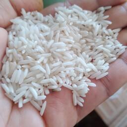 برنج ایرانی شیرودی بسته 10 کیلویی