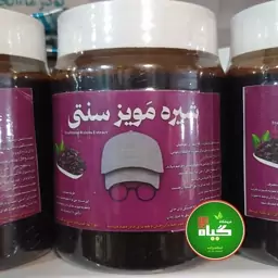 شیره سنتی مویز (600گرم) موثر برای کم خونی 