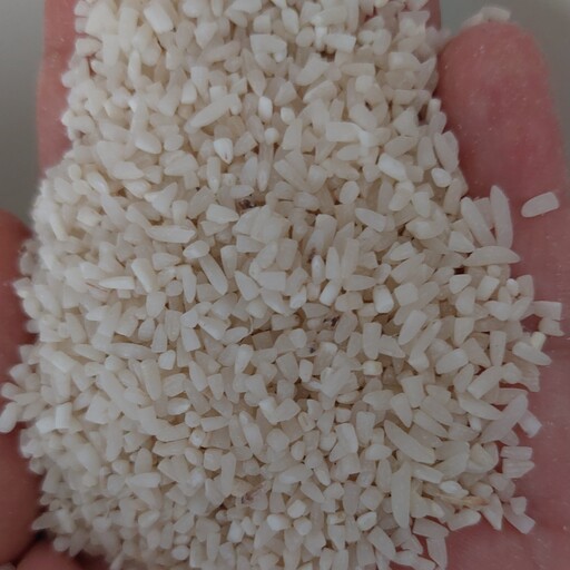 برنج شکسته یا نیم دونه پاک شده