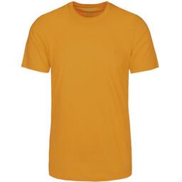 تی شرت آستین کوتاه مردانه مدل Sb-S-n-00659