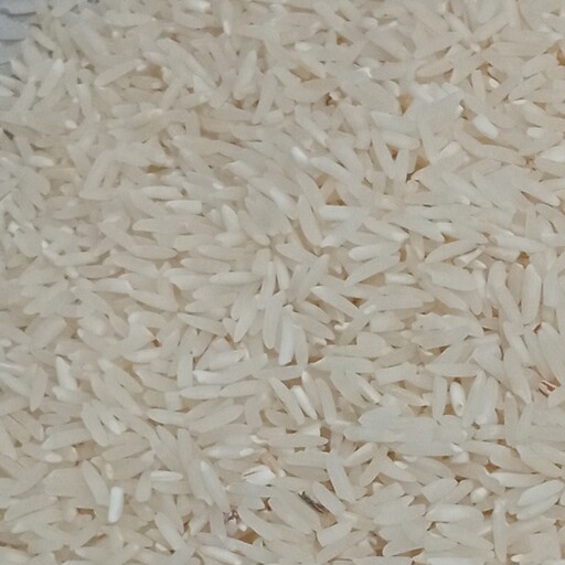 برنج شمالی فجر  یک کیلو گرمی خرید بی واسطه از کشاورز
