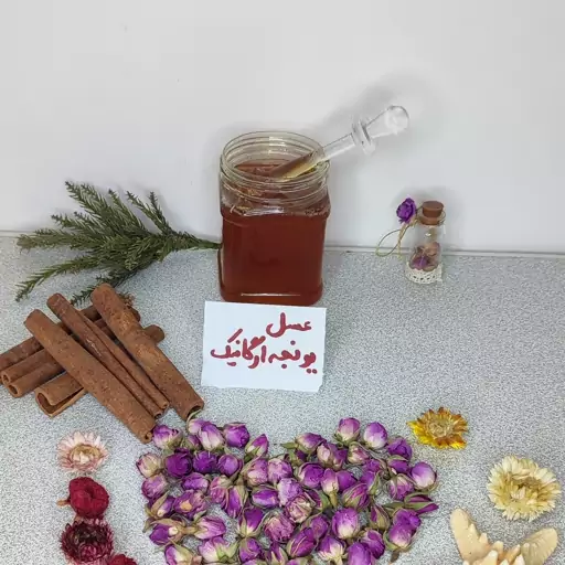 عسل طبیعی یونجه ارگانیک عسل یونجه عسل ارگانیک (یک کیلوئی)