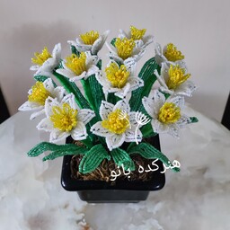 گل منجوقی نرگس