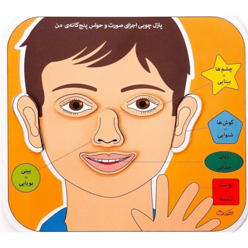 پازل چوبی اجزای صورت و حواس پنجگانه ( کاردرمانی ذهنی ) گفتار درمانی ) انتشارات دهکده
