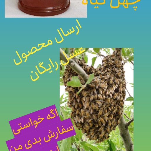عسل طبیعی  بهاره چهل گیاه  کوهستان  عسل صبحانه سه کیلویی 