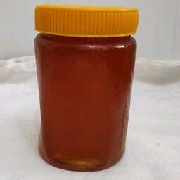 عسل طبیعی  بهاره چهل گیاه  کوهستان  عسل صبحانه یک کیلویی 