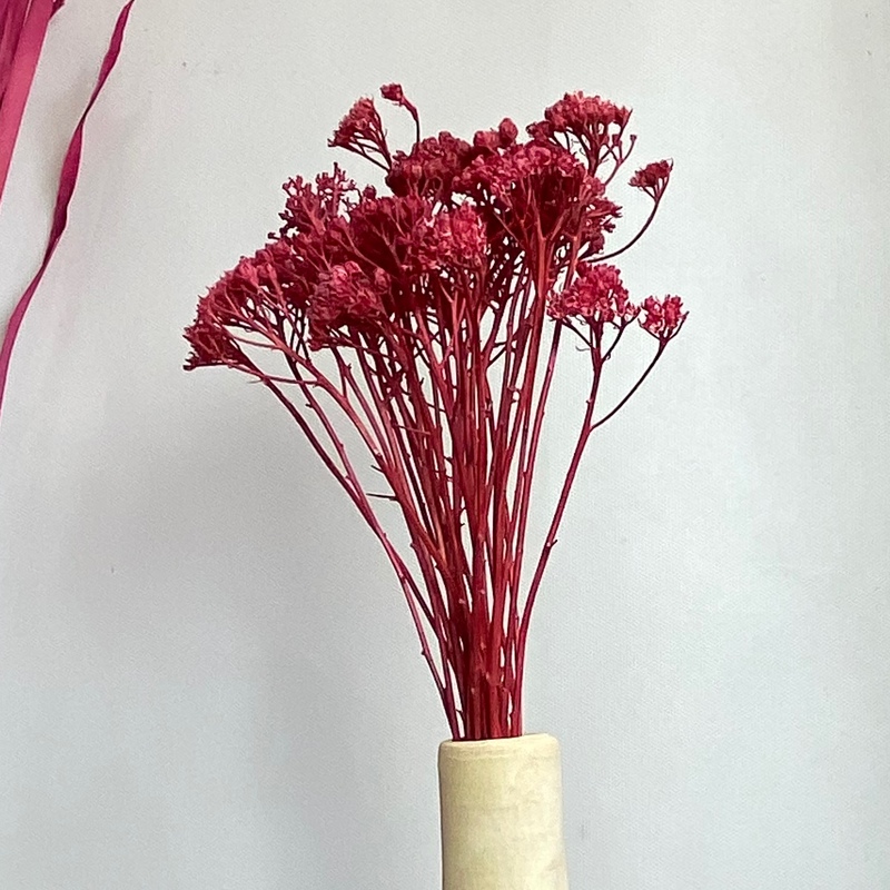 گل خشک مدل بومادران رنگ قرمز تک شاخه ای