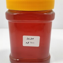 عسل زول طبیعی اعلا چهارمحال پک 6 تایی عمده (1 کیلویی)