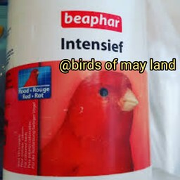 رنگدانه قرمزبیفار هلندی 500گرم پلمپ مخصوص پرندگان