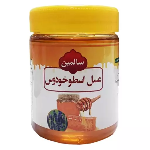 عسل اسطوخودوس - 500 گرم 