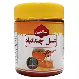 عسل چند گیاه ویژه سالمین - 500 گرم 