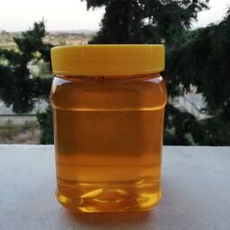 عسل طبیعی و خالص بهار نارنج مازندران (بکر و گرماندیده) دو کیلوگرم ارسال رایگان 