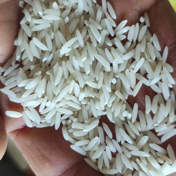 برنج هاشمی 