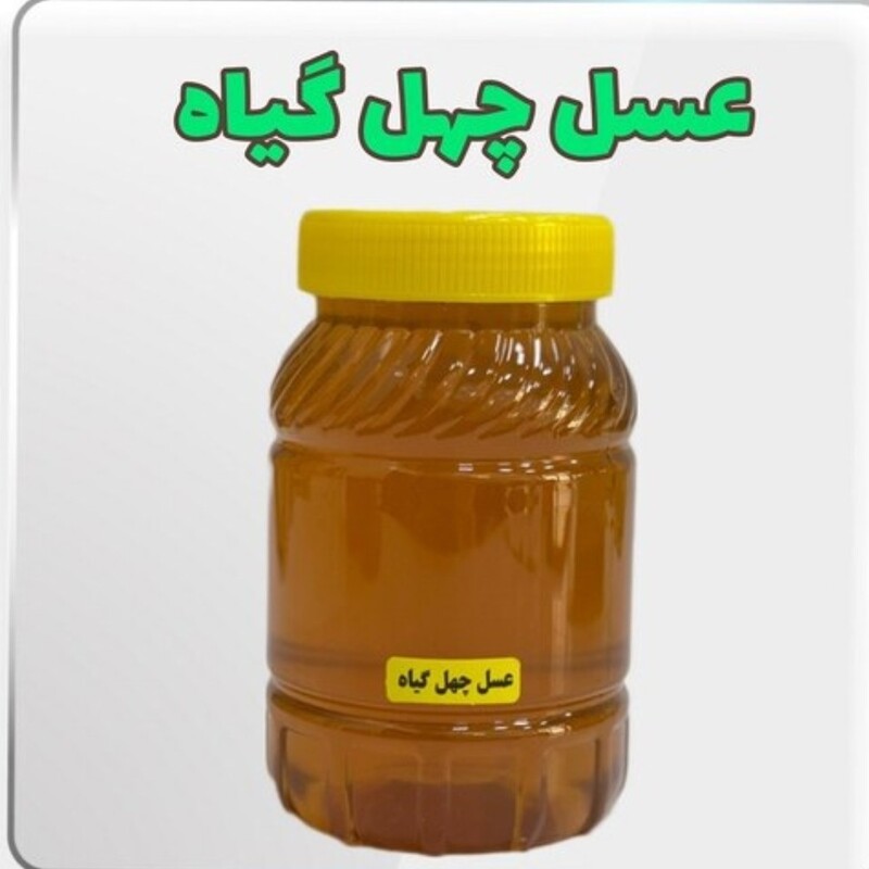 عسل طبیعی چهل گیاه خوشمزه (خرید مستقیم از زنبورستان)