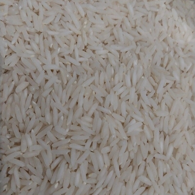 برنج فجر مینودشت