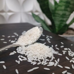 برنج طارم هاشمی فریدونکنار کشت اول 10 کیلویی
