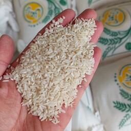 برنج سرلاشه طارم  معطر  سورتینگ شده با درصد بالای دانه درشت و سرشکسته صددرصد خالص برنج جمالی 10کیلویی