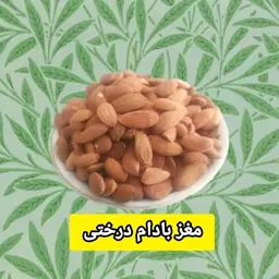 مغز بادام درختی خام