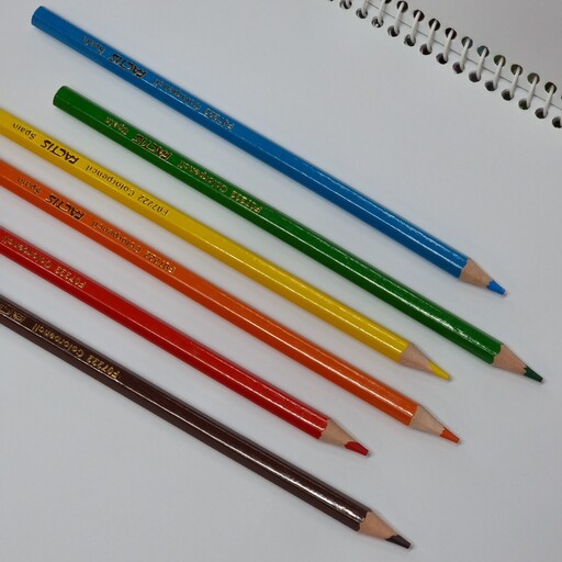 مداد رنگی 6 رنگ فکتیس جلد مقوایی Factis