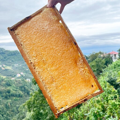 عسل با موم چهل گیاه خوشمزه و خوش طعم  (یک کیلو) 
