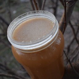 عسل رس بسته خارشتر کردستان طعم و عطر  خاص و بینظیر  (یک کیلو)