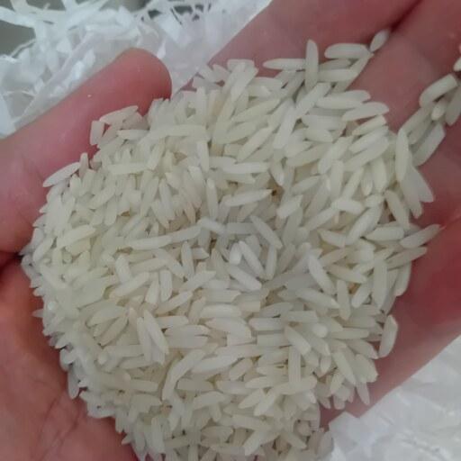 برنج شیرودی مجلسی